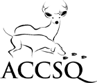 ACCSQ